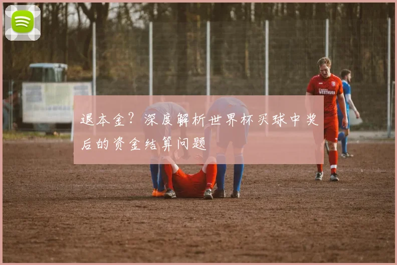 退本金？深度解析世界杯买球中奖后的资金结算问题