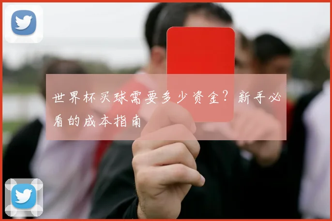 世界杯买球需要多少资金？新手必看的成本指南