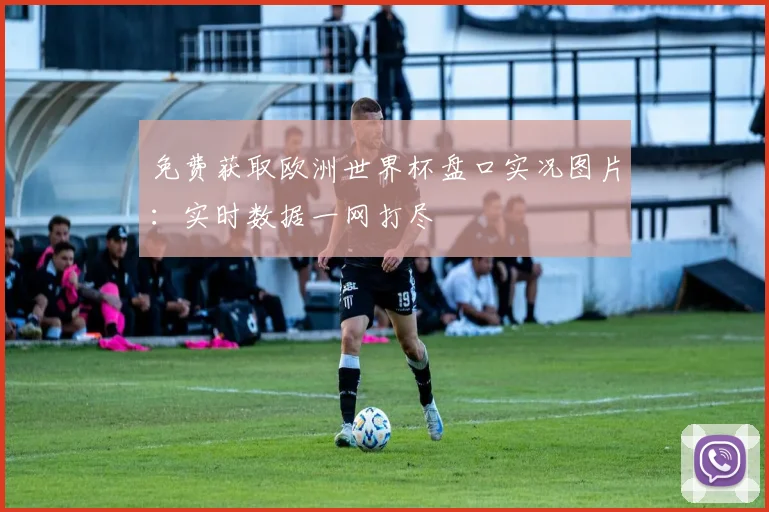 免费获取欧洲世界杯盘口实况图片:实时数据一网打尽
