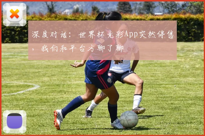 深度对话：世界杯竞彩App突然停售，我们和平台方聊了聊