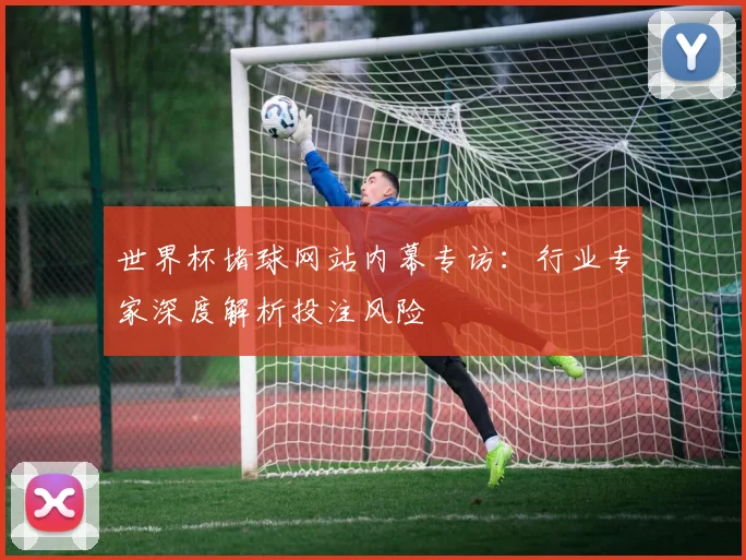 世界杯堵球网站内幕专访：行业专家深度解析投注风险