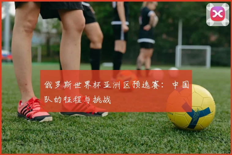 俄罗斯世界杯亚洲区预选赛：中国队的征程与挑战