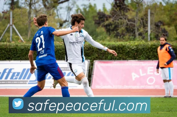 欧宝官网首页服务体系